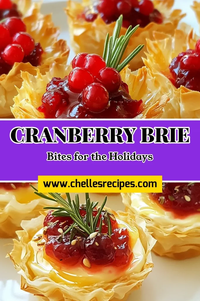 Elevate your holiday gatherings with these delightful cranberry brie phyllo bites! This easy phyllo pastry recipe combines creamy Brie with a festive cranberry sauce, making it the perfect holiday appetizer. Impress your guests with these baked Brie appetizers that are both simple and delicious. Don't miss out on this must-try festive cranberry recipe. Save this recipe for your next celebration! #CranberryBrieBites #HolidayAppetizer #EasyPhylloPastries #BakedBrieAppetizers